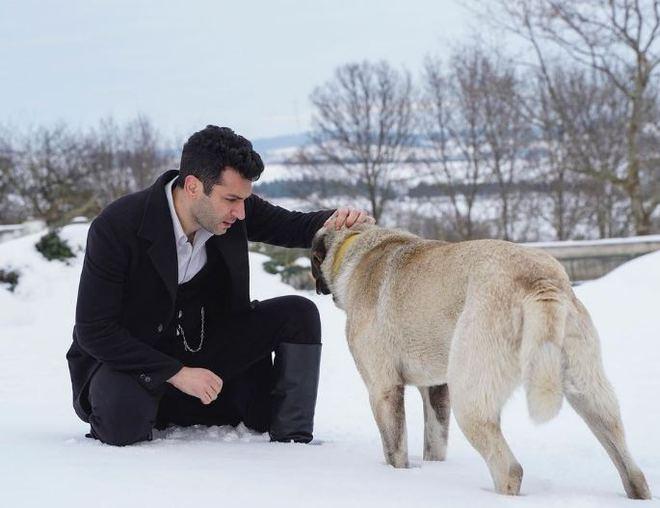 murat yildirim in hayvan sevgisi beğeni yagmuruna tutuldu 2